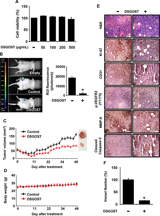 Inhibitory effect of DSGOST on tumor growth and angiogenesis in vivo.