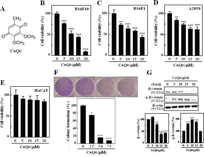 Inhibitory effects on melanoma cell viability and colony formation by CoQ0.