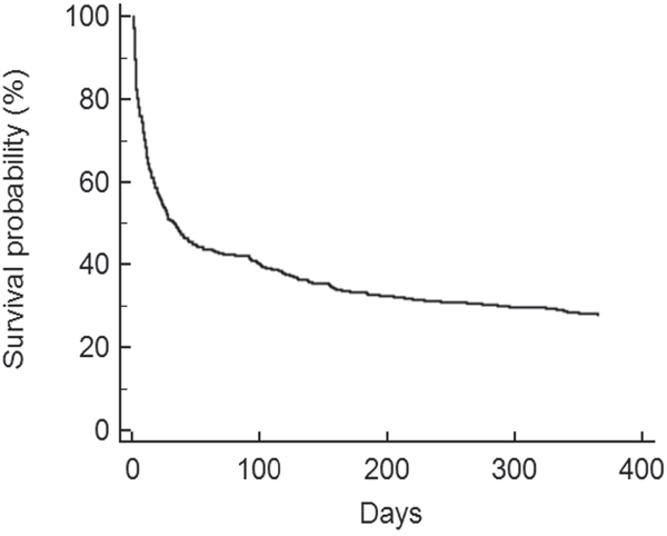 Overall Kaplan-Meier survival curve.