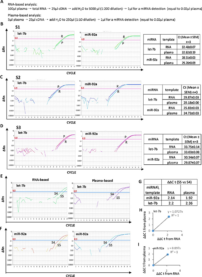 High efficiency of the plasma-based direct quantification of circulating miRNAs.