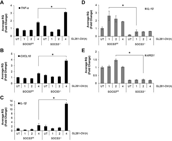 SOCS3&#x2212;/&#x2212; macrophages display enhanced M1 gene expression when exposed to GL261 conditioned medium.