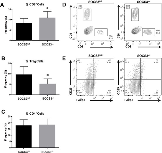 Loss of SOCS3 in myeloid cells results in increased CD8+ T-cell and decreased Treg infiltration in tumors.