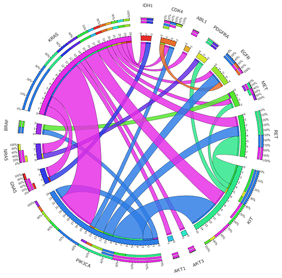 Genomic co-occurrence mutations found across those tumor samples with two or more mutations.