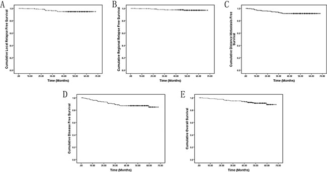 Kaplan-Meier local relapse free (A), regional relapse-free (B), distant metastasis-free (C), disease-free (D), and overall (E) survival curves.