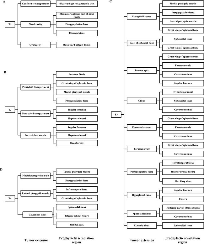 Downstream anatomic sites to be prophylactically irradiated based on T classification and routes of tumor extension.