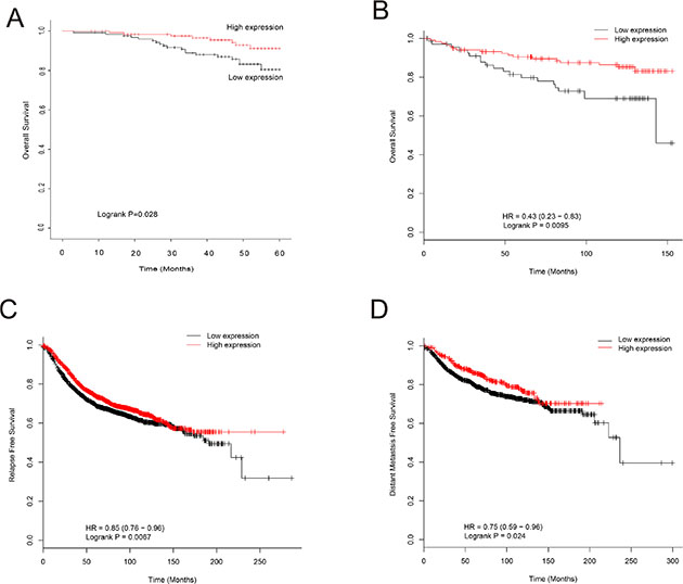 Association of EPB41L4A-AS2 expression with survival of breast cancer patients.