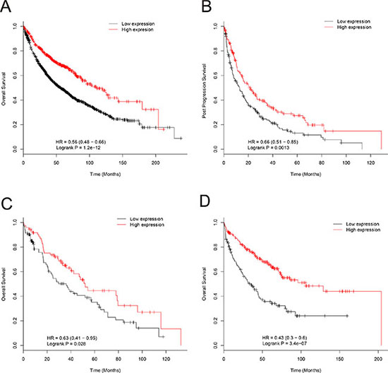 Association of EPB41L4A-AS2 expression with lung cancer patient survival in cohort III.