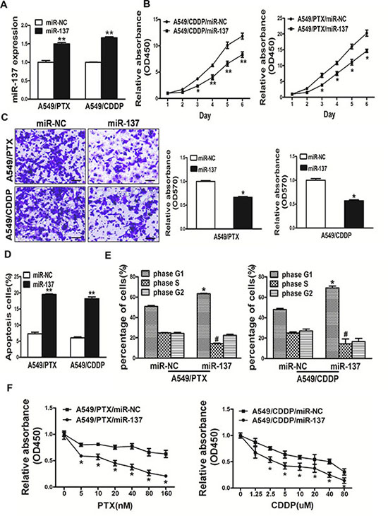 Overexpression of miR-137 in A549/PTX and A549/CDDP cells inhibited cell proliferation, migration, induced cell apoptosis and arrest the cell cycle in G1 phase and reversed drug resistance to PTX and CDDP in A549/PTX and A549/CDDP cell lines respectively.