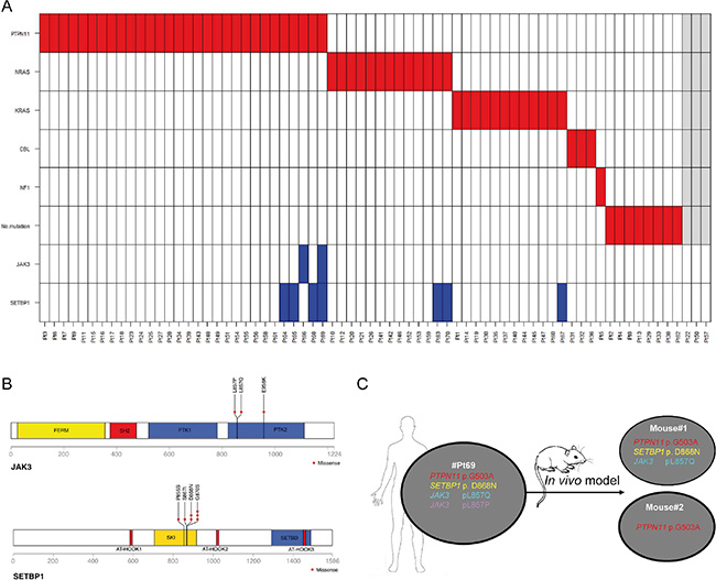 Figure 1: