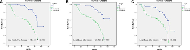 Survival curves of EOC patients by the Kaplan&ndash;Meier method and the log-rank test.