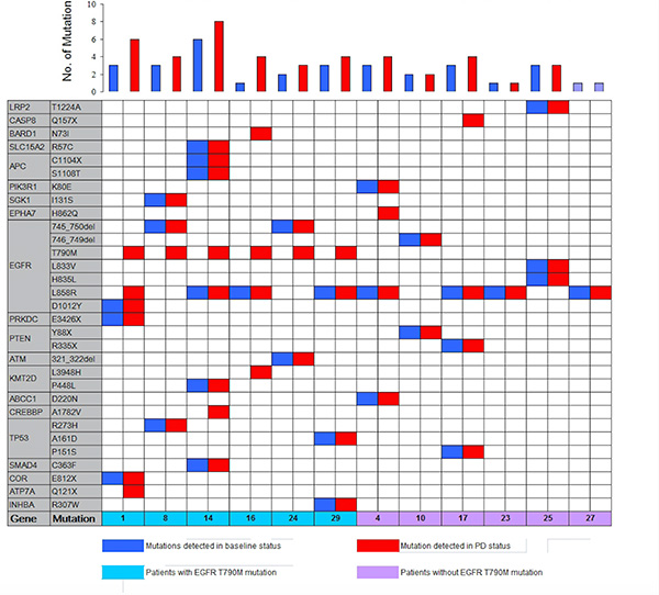 Heat map of meaningful mutant genes in ctDNA from 12 patients using next generation sequencing.