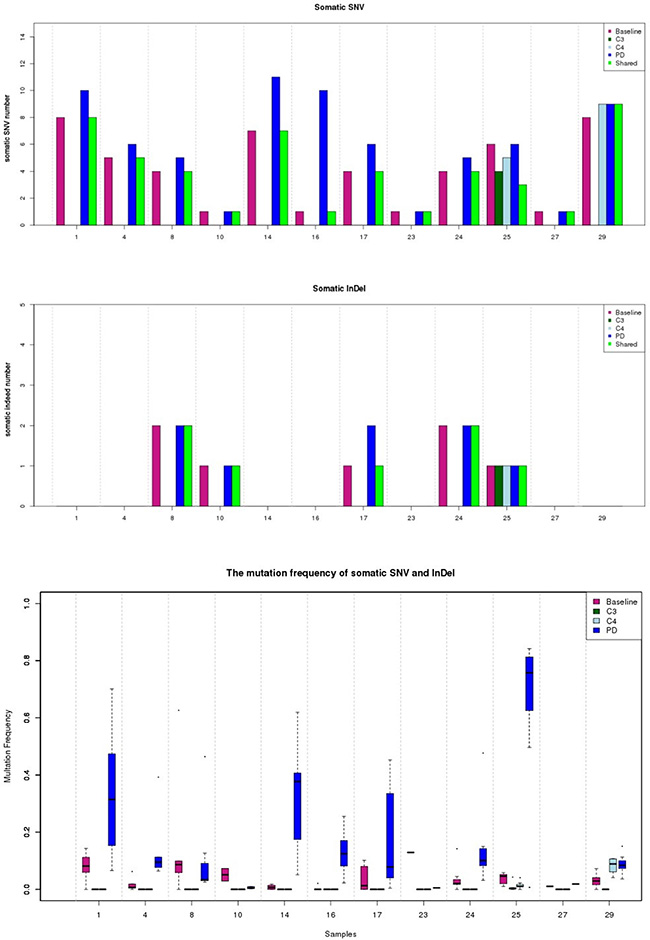 Dynamic changes of total mutational copies and frequencies in ctDNA detected by NGS.