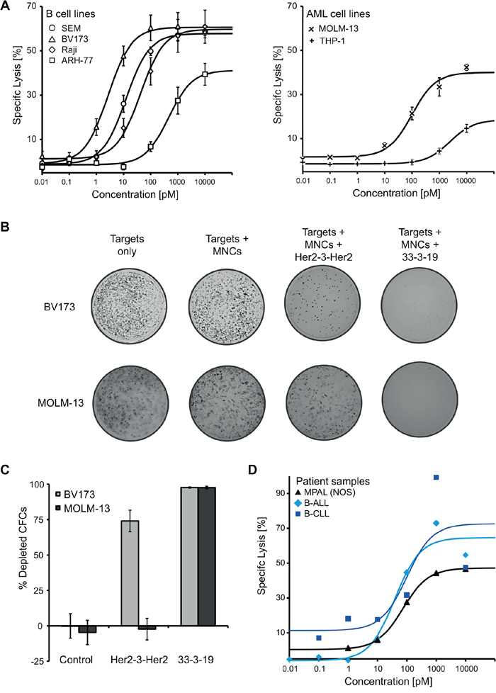 33-3-19-mediated lysis of B and AML cell lines including their colony forming cells (CFCs), as well as of primary patient material.