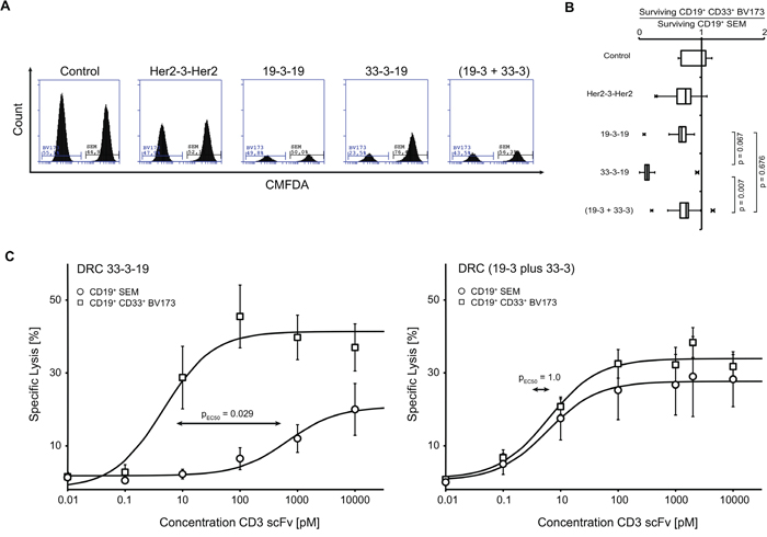 Selective lysis of CD19/CD33 double-positive target cells induced by dual-targeting triplebody 33-3-19 plus allogeneic T cells.