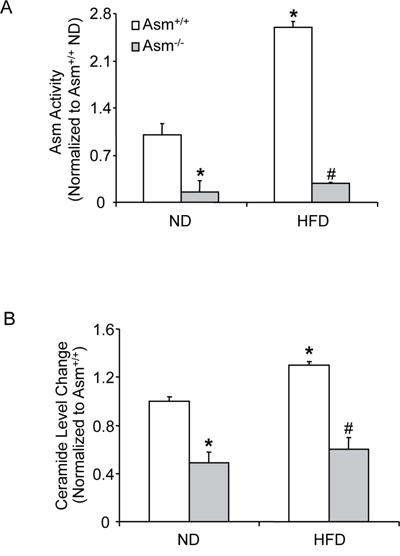 Effects of the normal diet and high fat diet on renal tissue Asm activity and total ceramide production in Asm+/+ and Asm-/- mice.