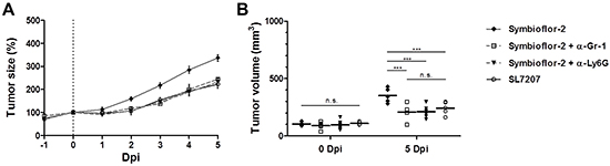 Specific depletion of Ly6G highlights neutrophils as a restraining factor for Symbioflor-2 mediated tumor therapy.