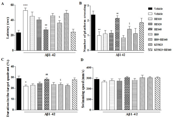 Resveratrol reversed A&#x3b2;-induced memory impairment 24 h after the training session.