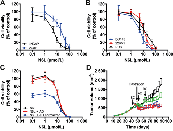 N6L inhibited human prostate tumor cell growth in vitro and in vivo.