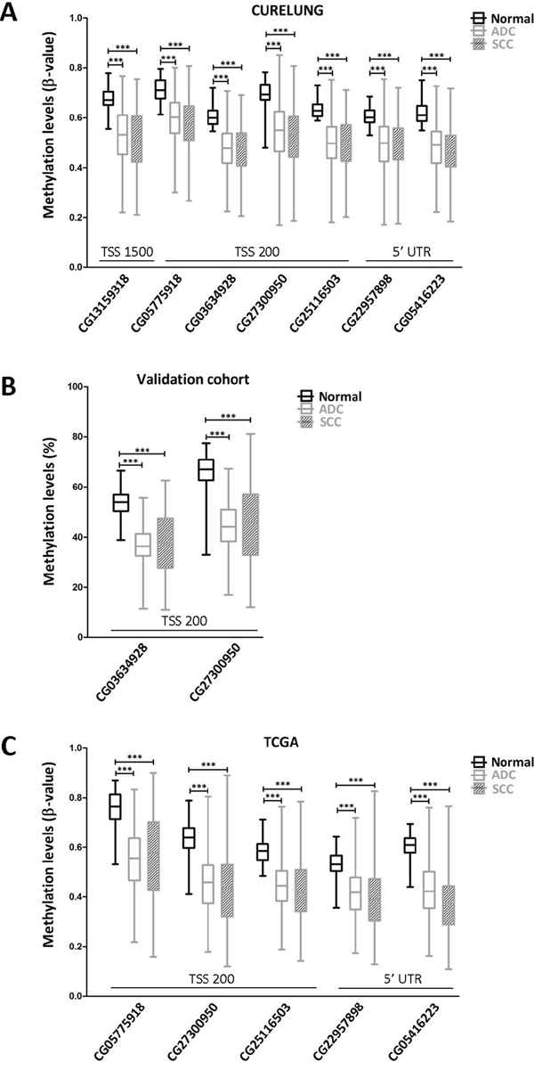 TMPRSS4 promoter hypomethylation is consistently found in NSCLC patients in comparison with their non-malignant counterparts.