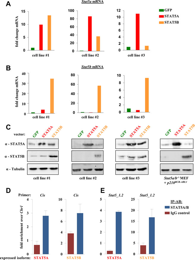 Figure 4: