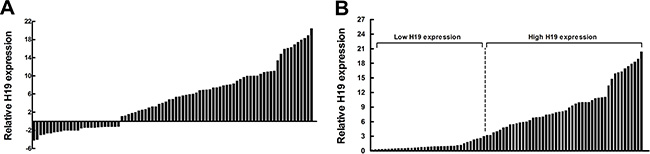 Relative H19 expression in human CRC tissues.