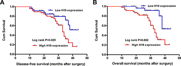 The correlation between H19 expression and the DFS or OS of CRC patients.