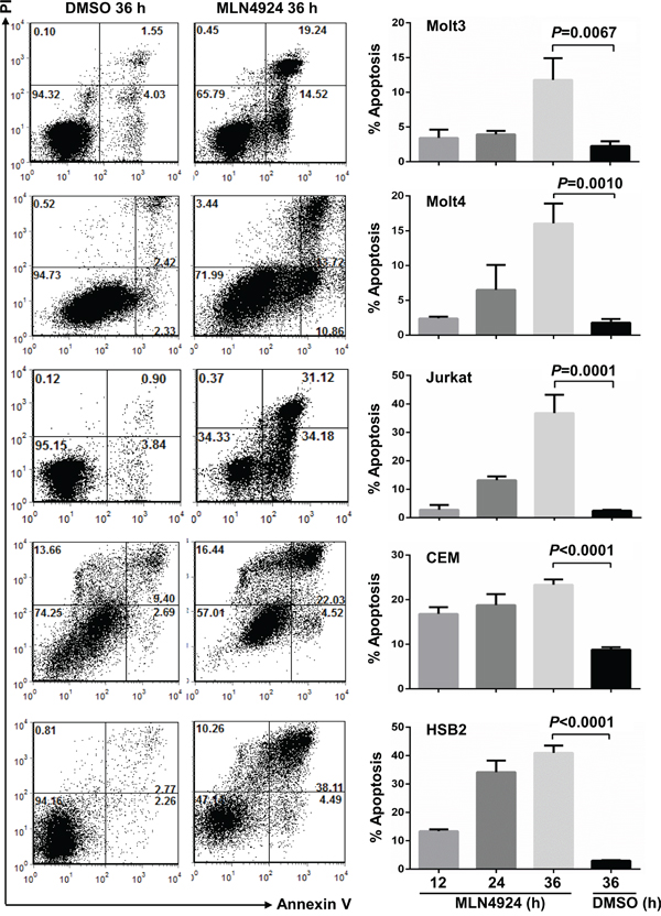 MLN4924 induces apoptosis in T-ALL cells.