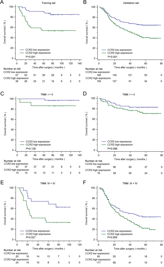 Kaplan&#x2013;Meier analysis for OS of patients with gastric cancer according to CCR2 expression.