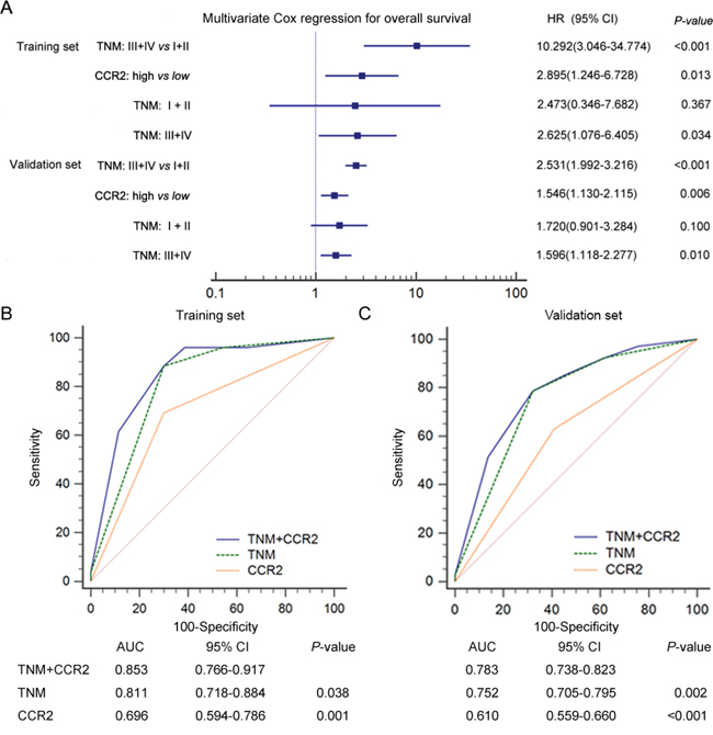 Multivariate Cox analysis and ROC analysis for prognostic accuracy of CCR2 expression in patients with gastric cancer.