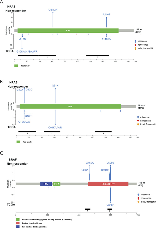 Distribution of genetic alterations detected in the non-responder group.