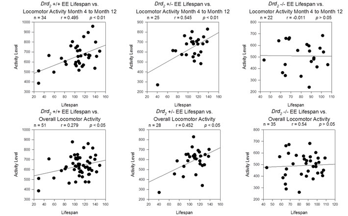 Top Row - Correlation of lifespan and average locomotor activity for Months 4 through 12 for
