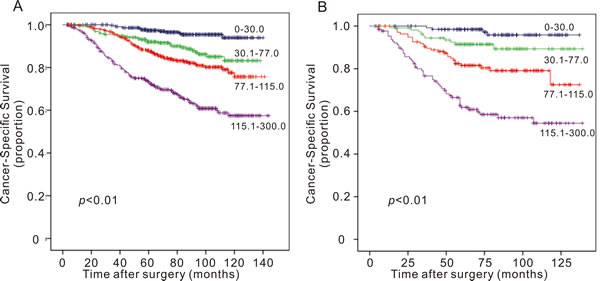 Survival curves of breast cancer patients in (A) training cohort and (B) validation cohort according to the nomogram-based classification.
