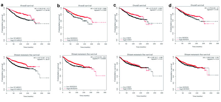 Correlation between the levels of STARD13 ceRNAs and the survival of breast cancer patients.
