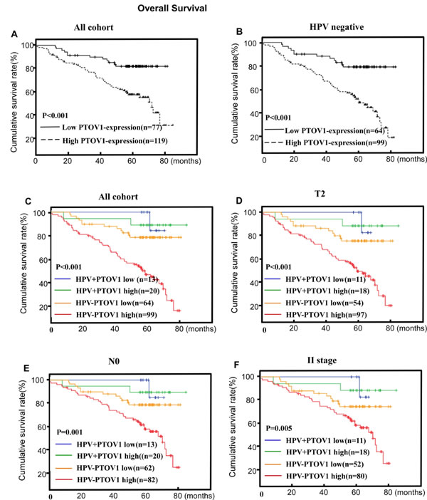 PTOV1 protein expression is associated with overall survival (OS) in the whole cohort