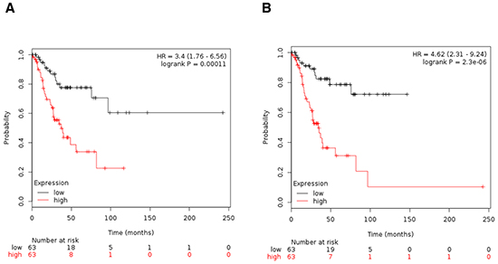 A. Association of the combined analyses of CDC28, CHK1, NIMA, Aurora kinase A, Aurora kinase B, BUB1, BUB1B, CDKN2A and TTK with progression free survival in stage I/II ovarian cancer. B. Association of the combined analyses of CHK1, CDKN2A, AURKA, AURKB, TTK and NEK2 with progression free survival in stage I/II ovarian cancer.