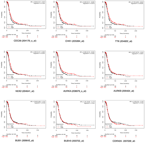 Association of CDC28, CHK1, TTK, NIMA and Aurora kinases A, B and CDKN2A individually with progression free survival in stage III and IV ovarian cancer.