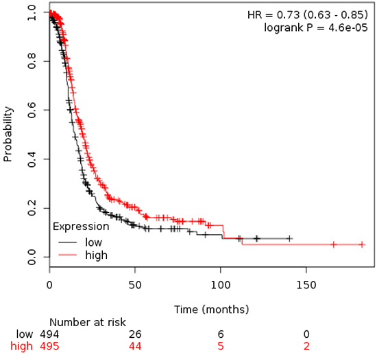 Association of the combined analyses of TTK and NIMA with progression free survival in stage III/IV ovarian cancer.