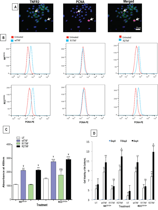 Figure 4: