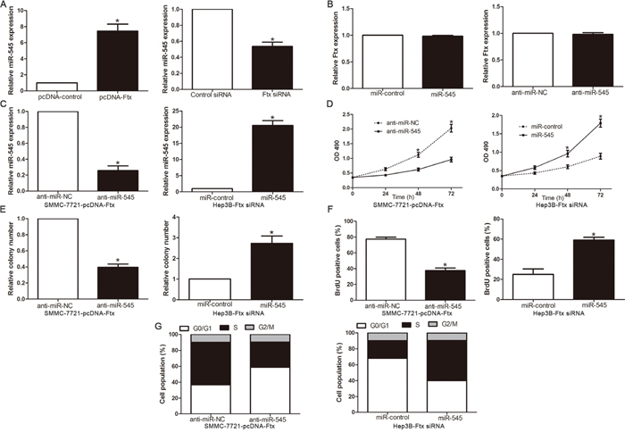 miR-545 mediated the tumor-promoted effects of lnc RNA Ftx on HCC cell lines.