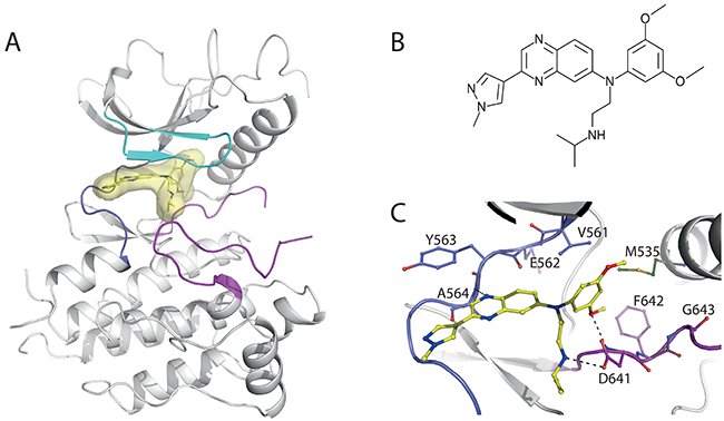 Structural insights into JNJ42756493 binding to FGFR1 KD.