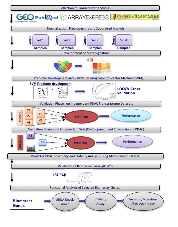 Overview of meta-analysis approach for development and validation of PDAC biomarker biomarker panel.