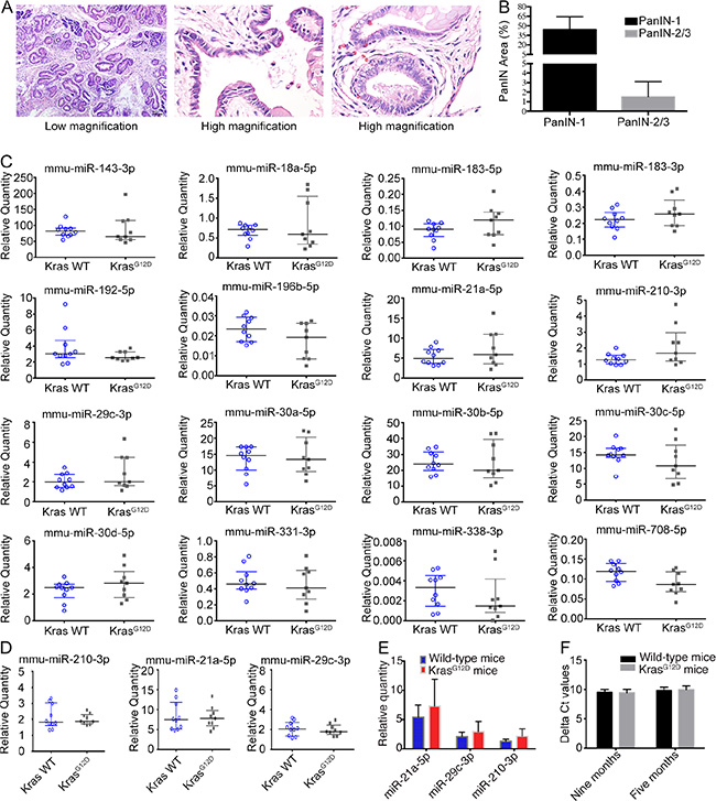 Serum miRNA in KrasG12D mice without acute pancreatitis.