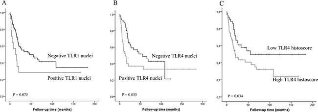 Kaplan-Meier curve showing esophageal adenocarcinoma survival stratified by nuclear TLR1 (A) or TLR4 (B) expression and TLR4 histoscore (C).