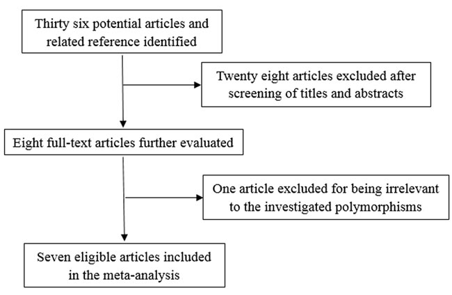 Flow chart of study selection in the meta-analysis.