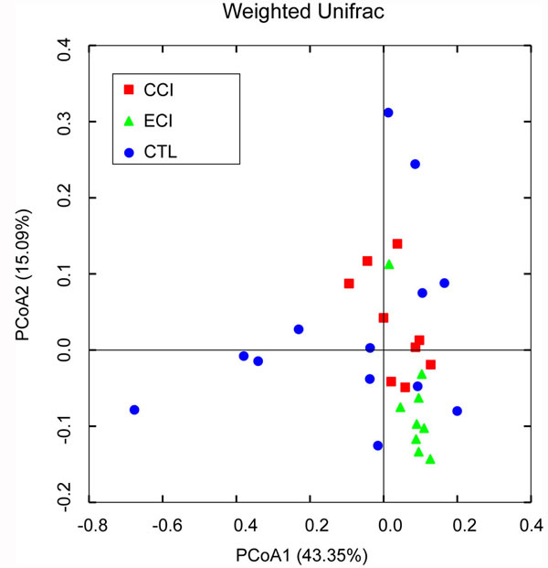Weighted Unifrac PCoA analysis of gut microbiota based on the OTU data from pyrosequencing run.