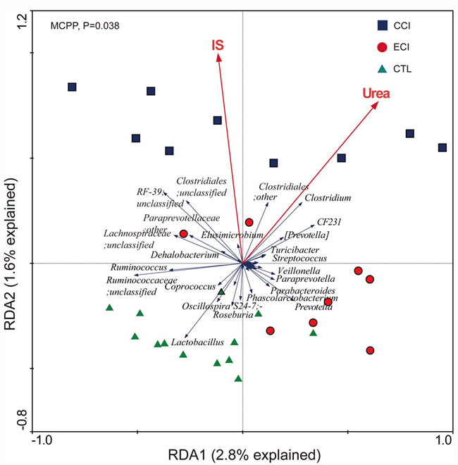 Biplot of redundancy analysis (RDA) of the gut microbiota compositions after ECI treatments in CKD rats.