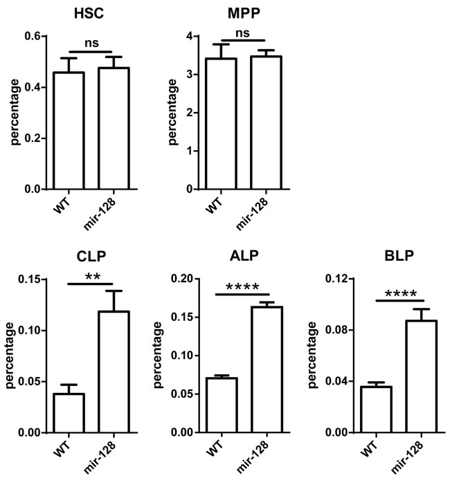 MiR-128-2 did not alter the percentages of HSC and MPP, but increased the percentages of CLP, ALP, and BLP compared with those in WT mice.