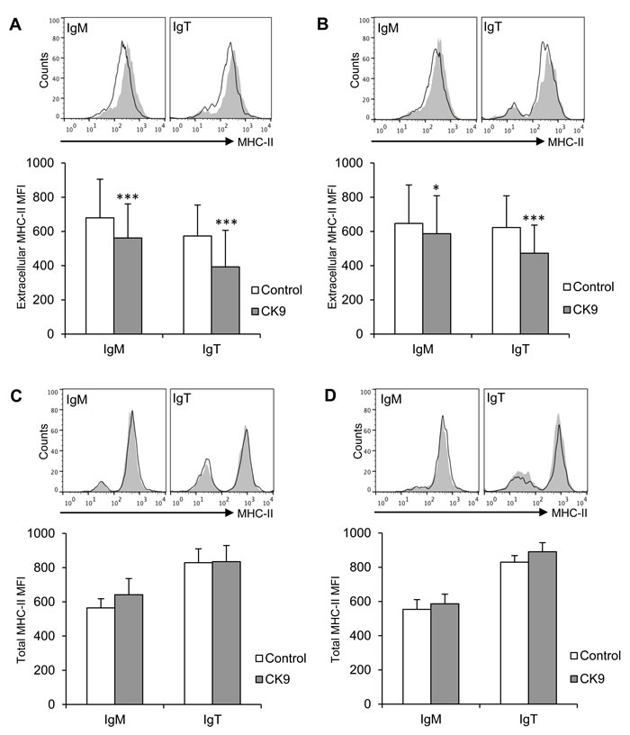 Effect of CK9 on the expression of MHC II on trout B lymphocytes.