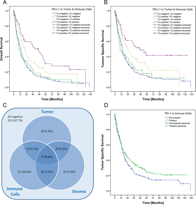 Prognostic significance and intersection of PD-L1 expression in tumor, immune and stromal cells.
