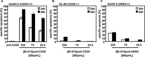 [Bi-213]anti-CD20 kills CD20-positive NHL cells specifically.